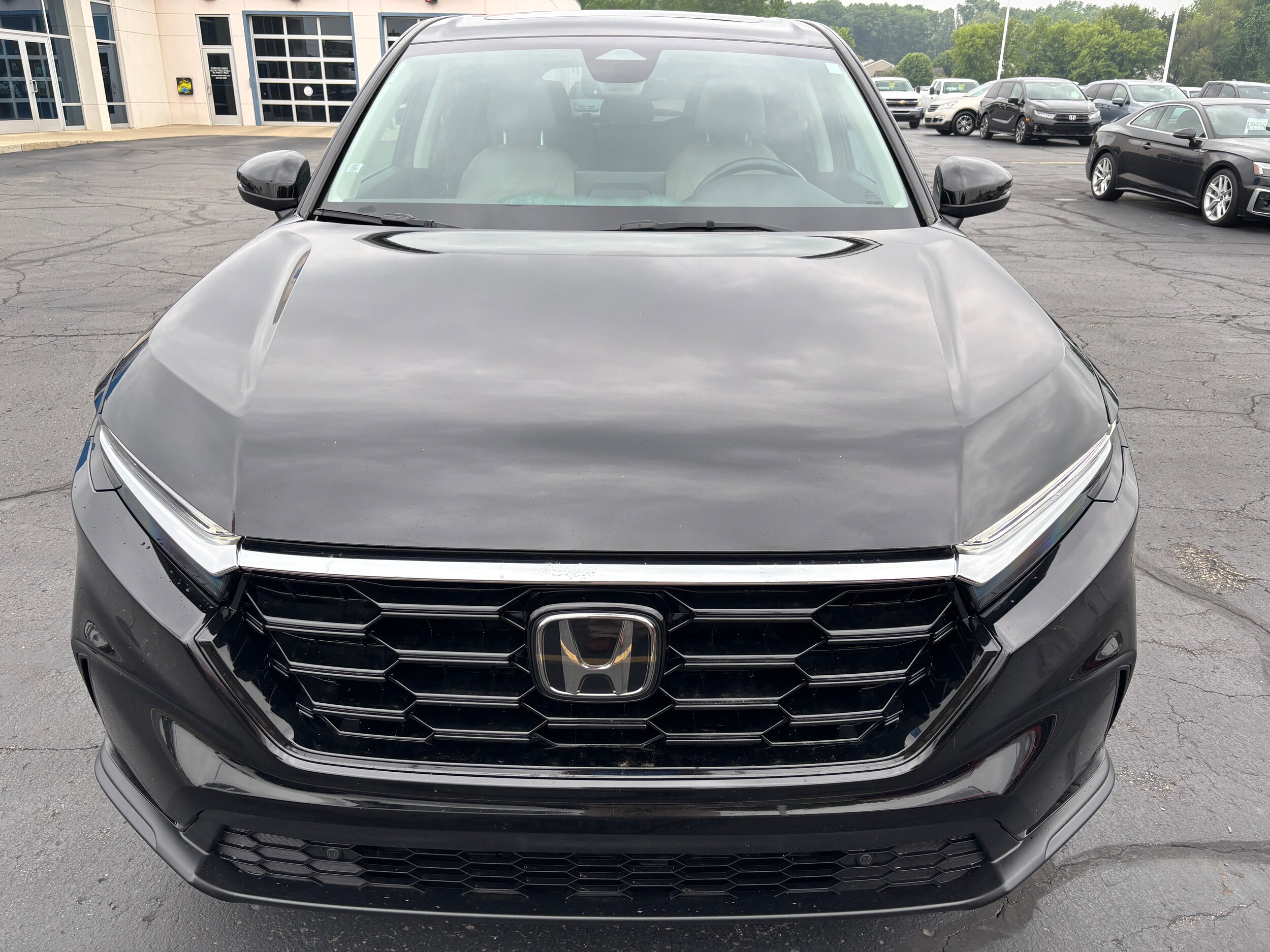 2023 Honda CR-V EX-L photo 3