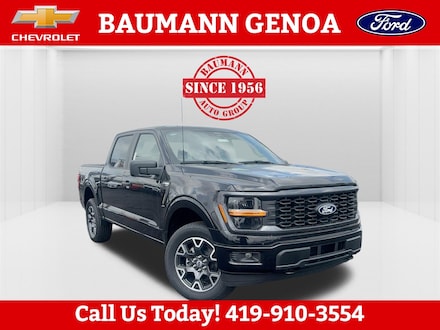 2025 Ford F-150 STX TRUCK