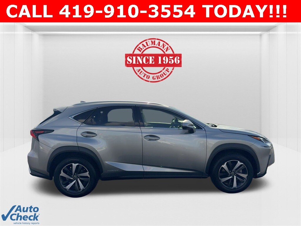 2018 Lexus NX 300h Luxury photo 4
