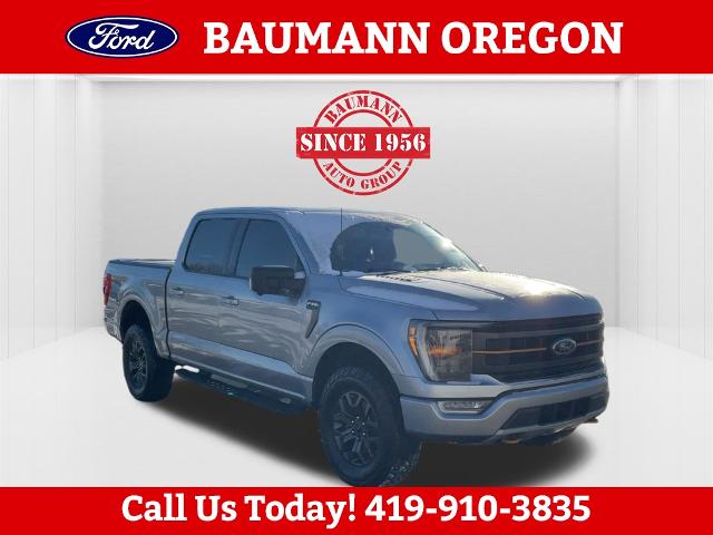 2022 Ford F-150 Tremor's photo