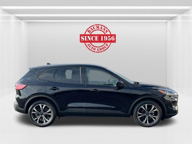 2022 Ford Escape SE Hybrid photo 4