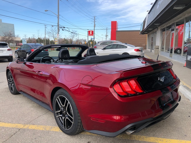 2018 Mustang Gt For Sale Toronto