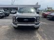 Used 2023 Ford F-150 XLT Crew Cab