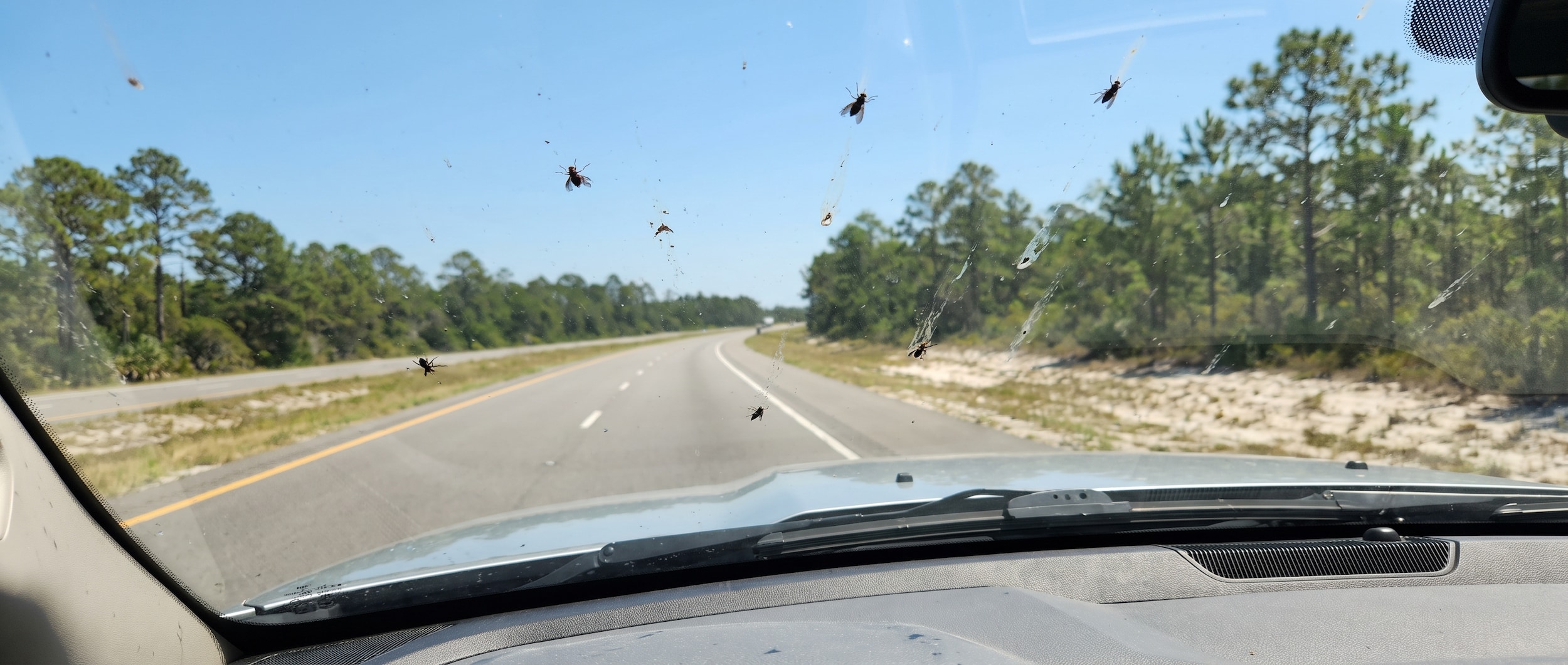 Ram 1500 windshield covered with love bug splatter on a Florida Panhandle highway with washer fluid bottle in foreground