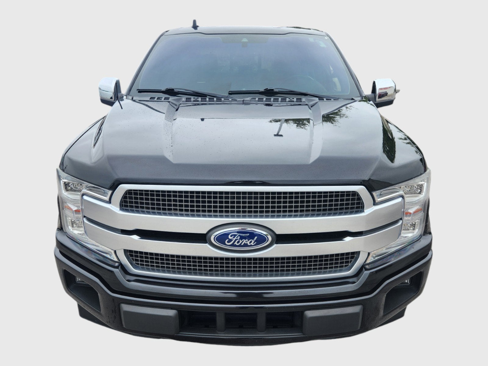 Used 2019 Ford F-150 Platinum with VIN 1FTEW1C48KFC11178 for sale in Panama City, FL