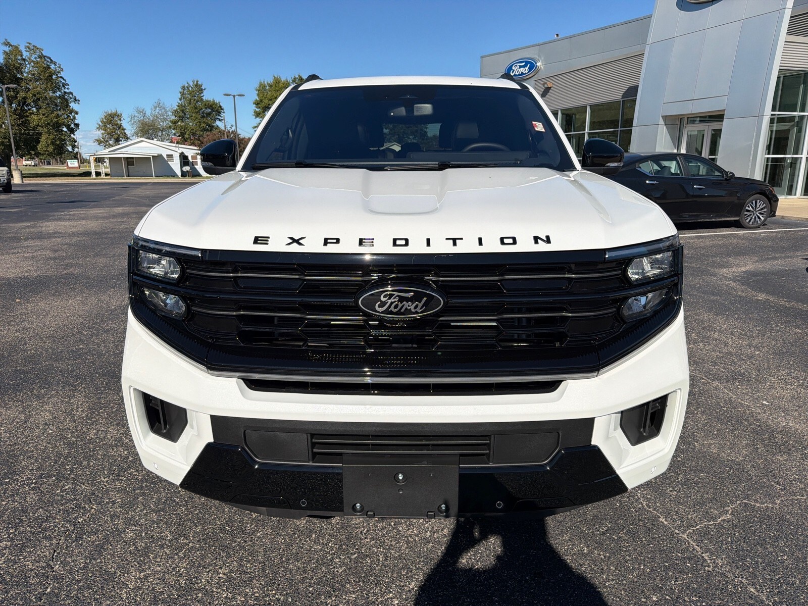 2025 Ford Expedition MAX Platinum photo 3