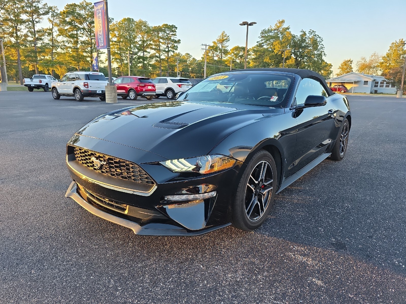 2023 Ford Mustang EcoBoost Premium Convertible photo 4
