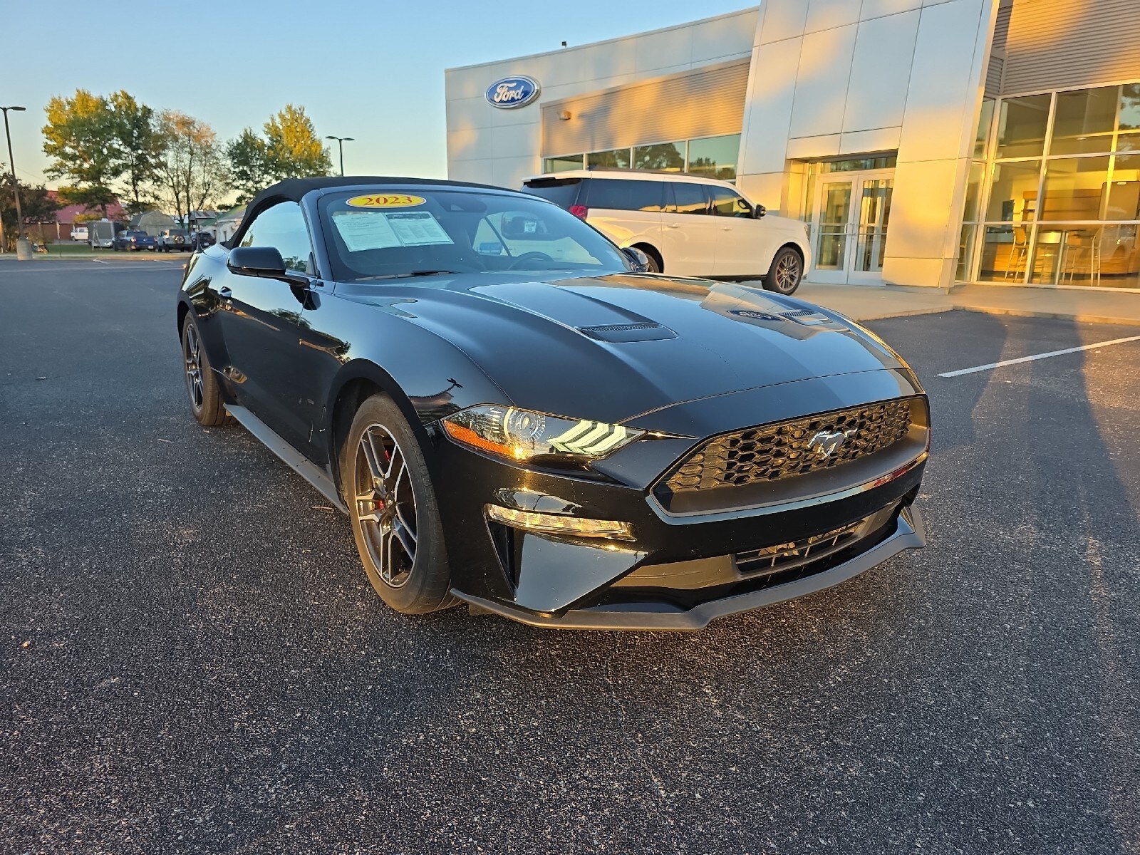 2023 Ford Mustang EcoBoost Premium Convertible photo 2