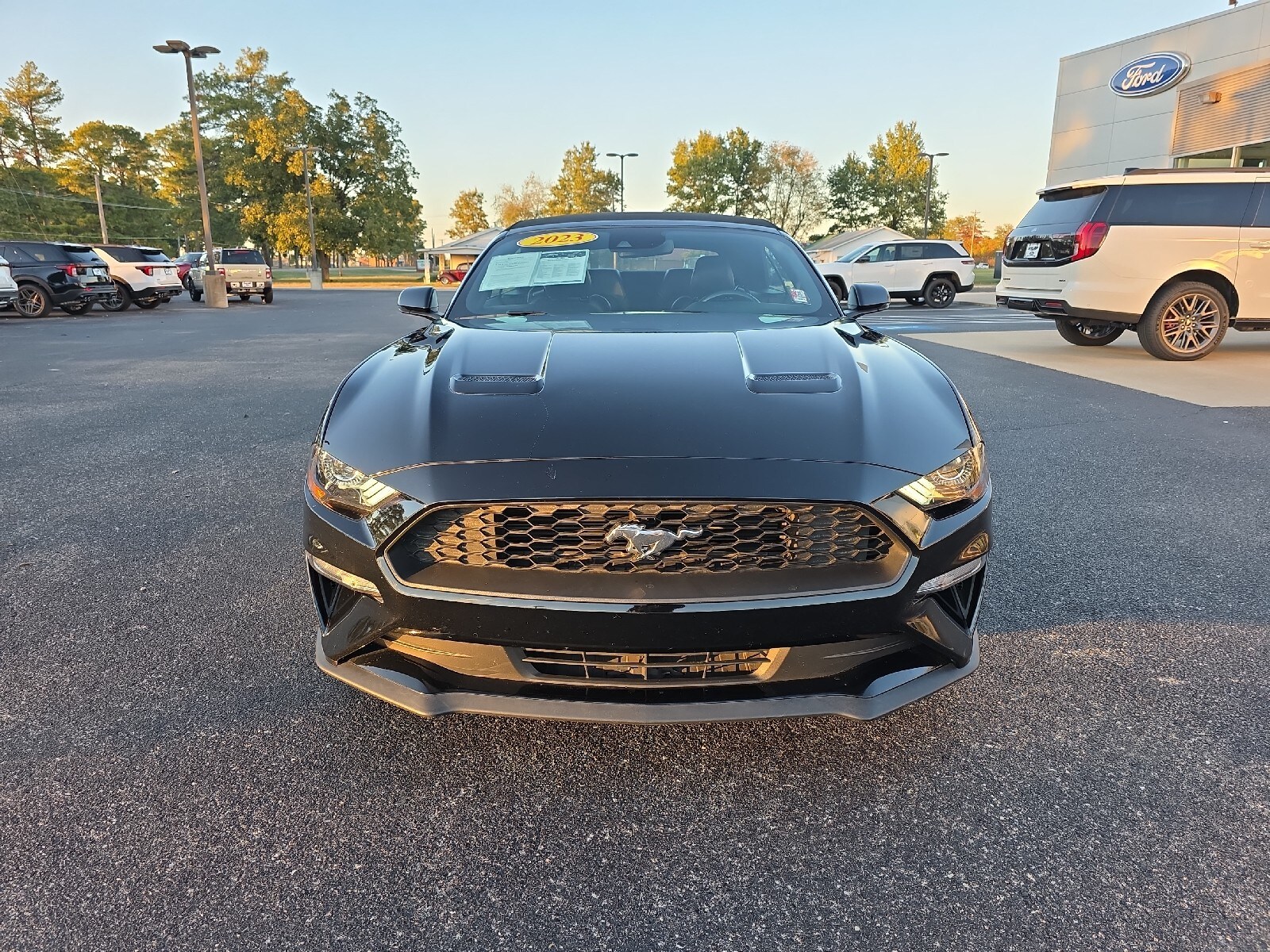 2023 Ford Mustang EcoBoost Premium Convertible photo 3