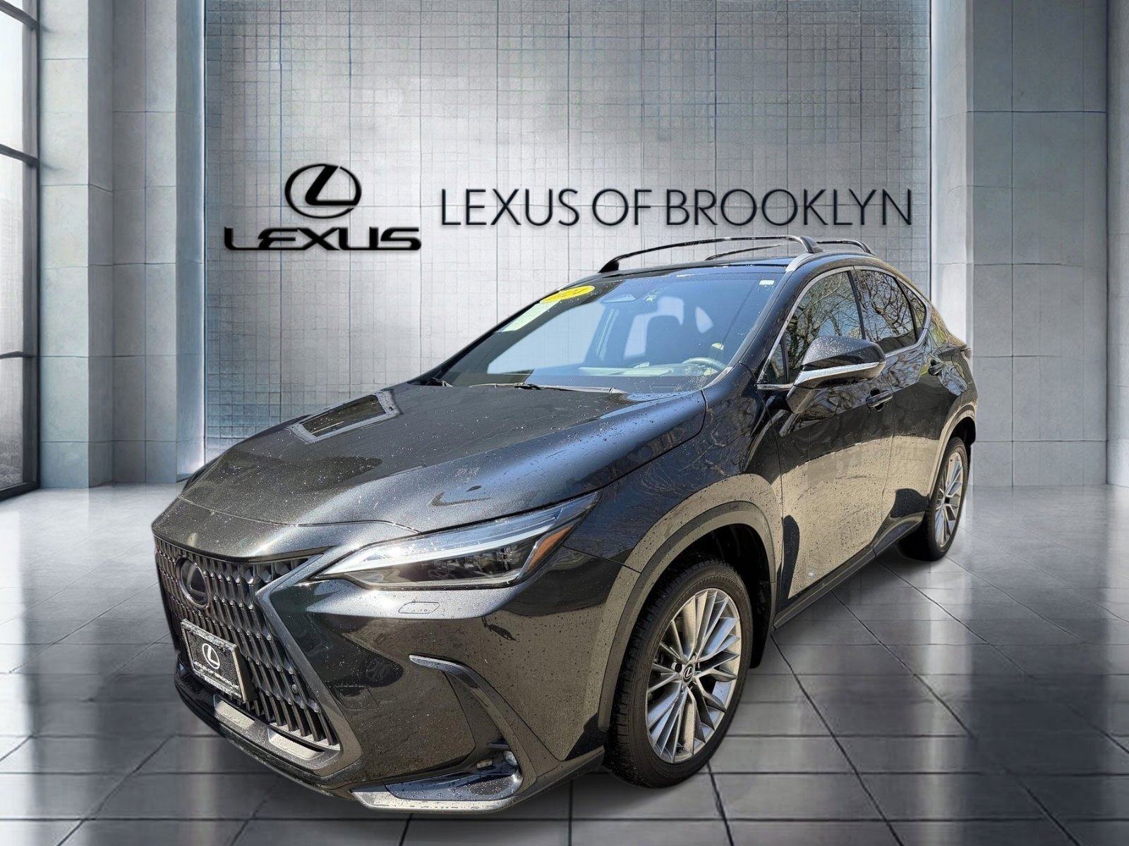 2024 Lexus NX