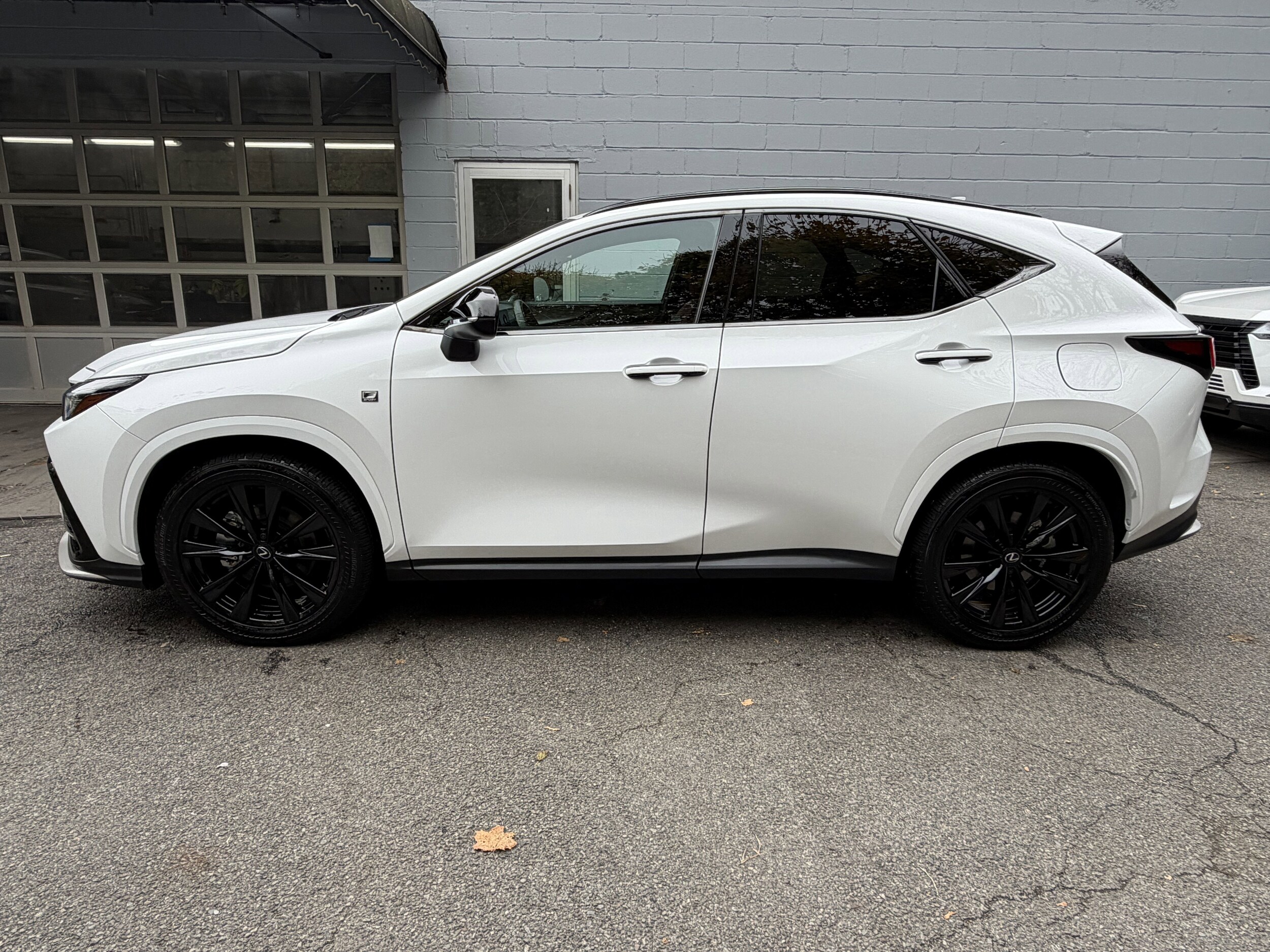 2025 Lexus NX F SPORT Handling photo 3