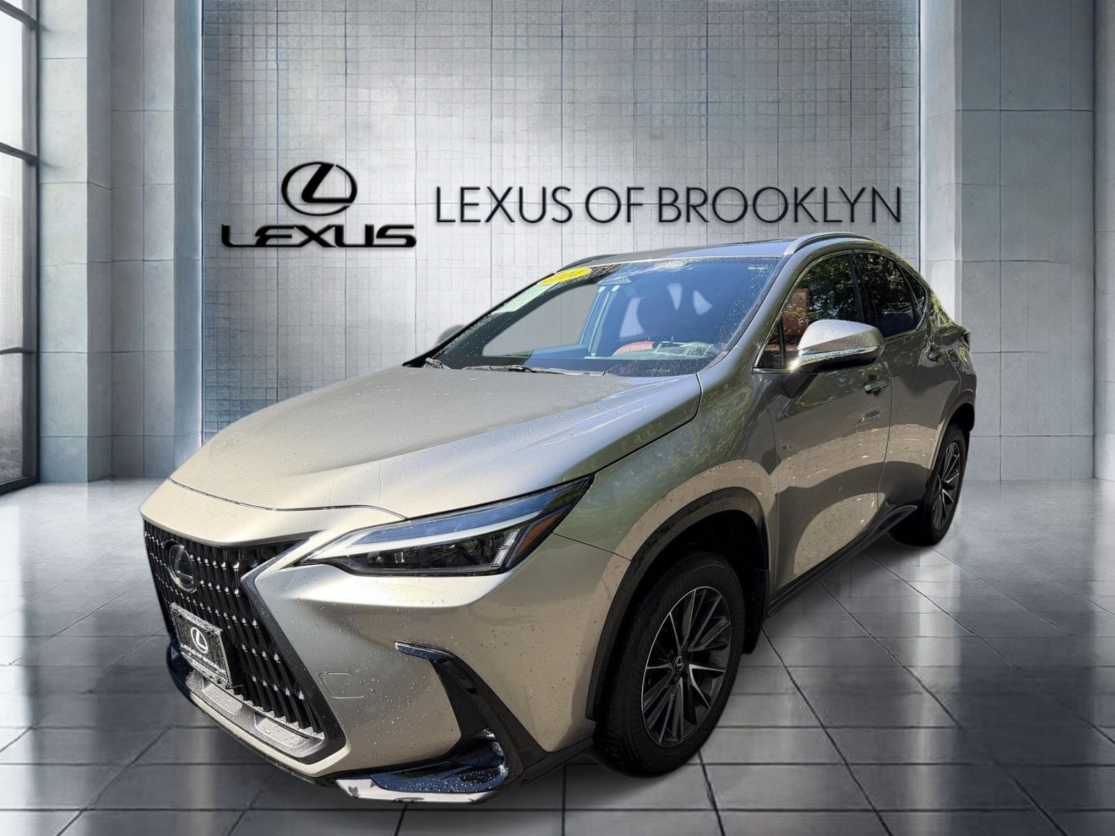 2024 Lexus NX