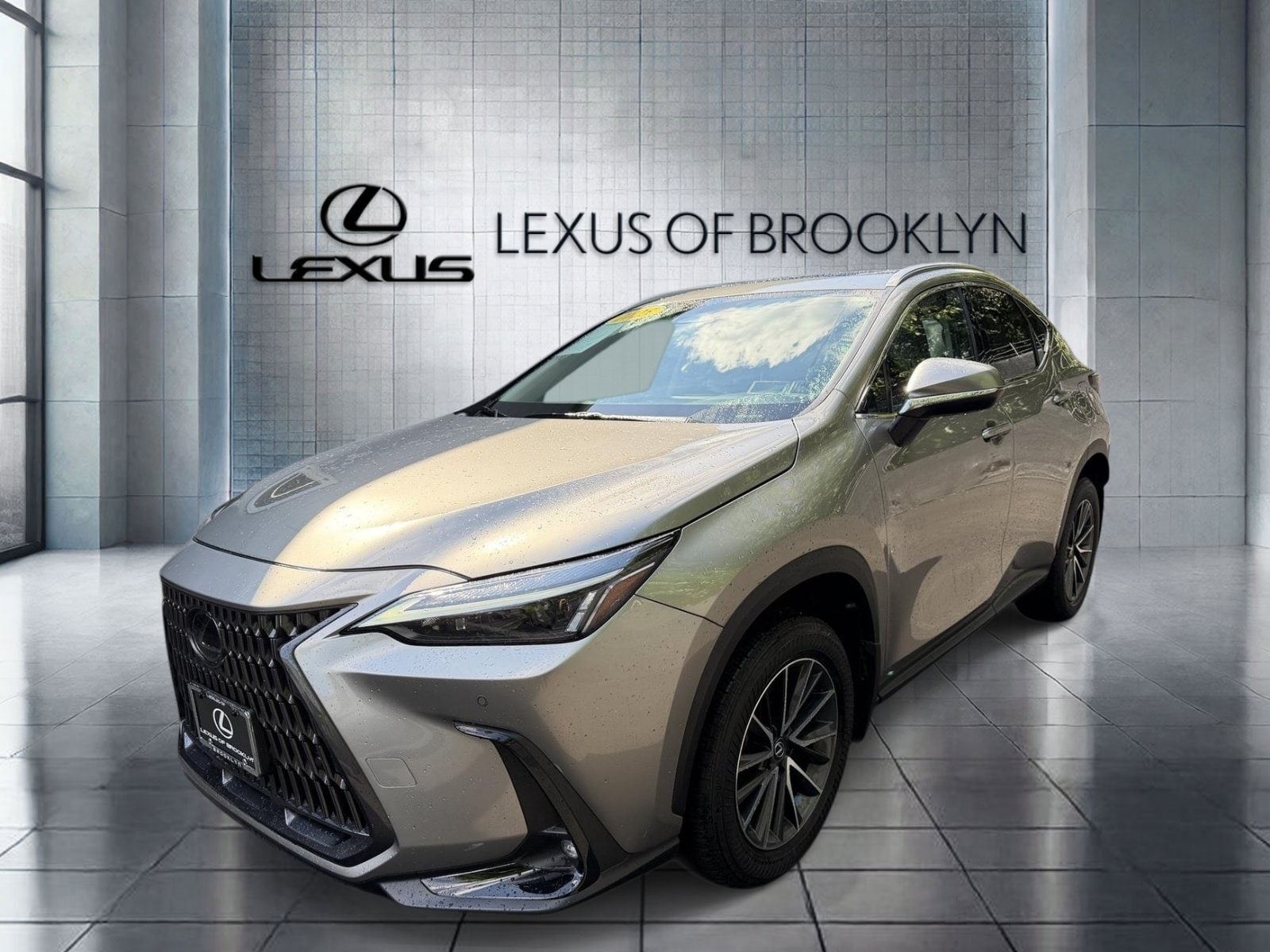 2025 Lexus NX