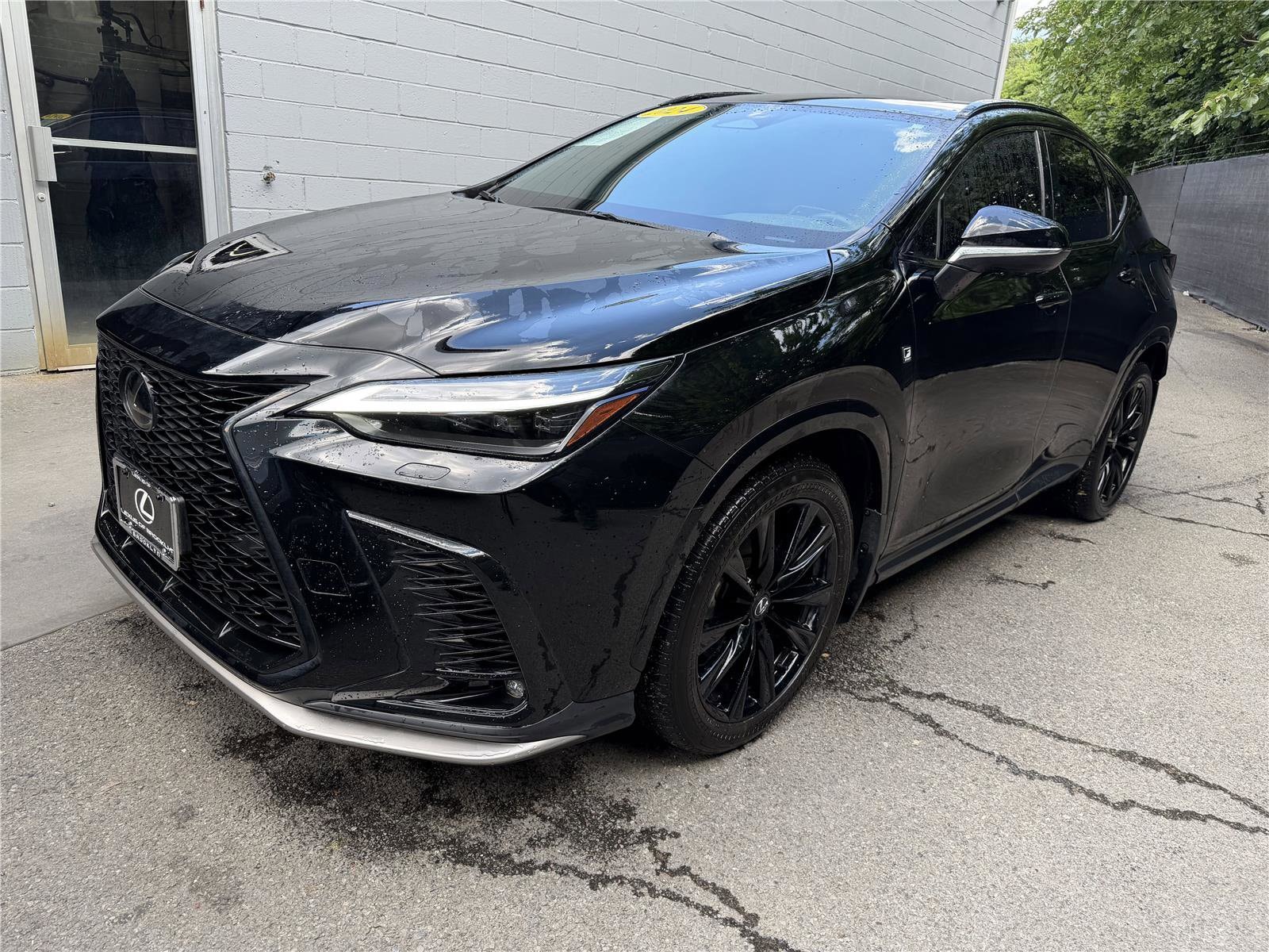 2024 Lexus NX 350 350 F-Sport AWD's photo