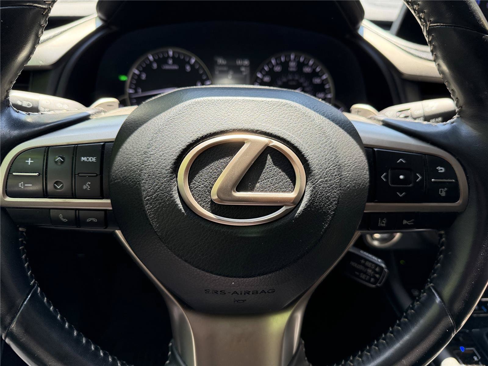 2021 Lexus RX 350 - Photo 7