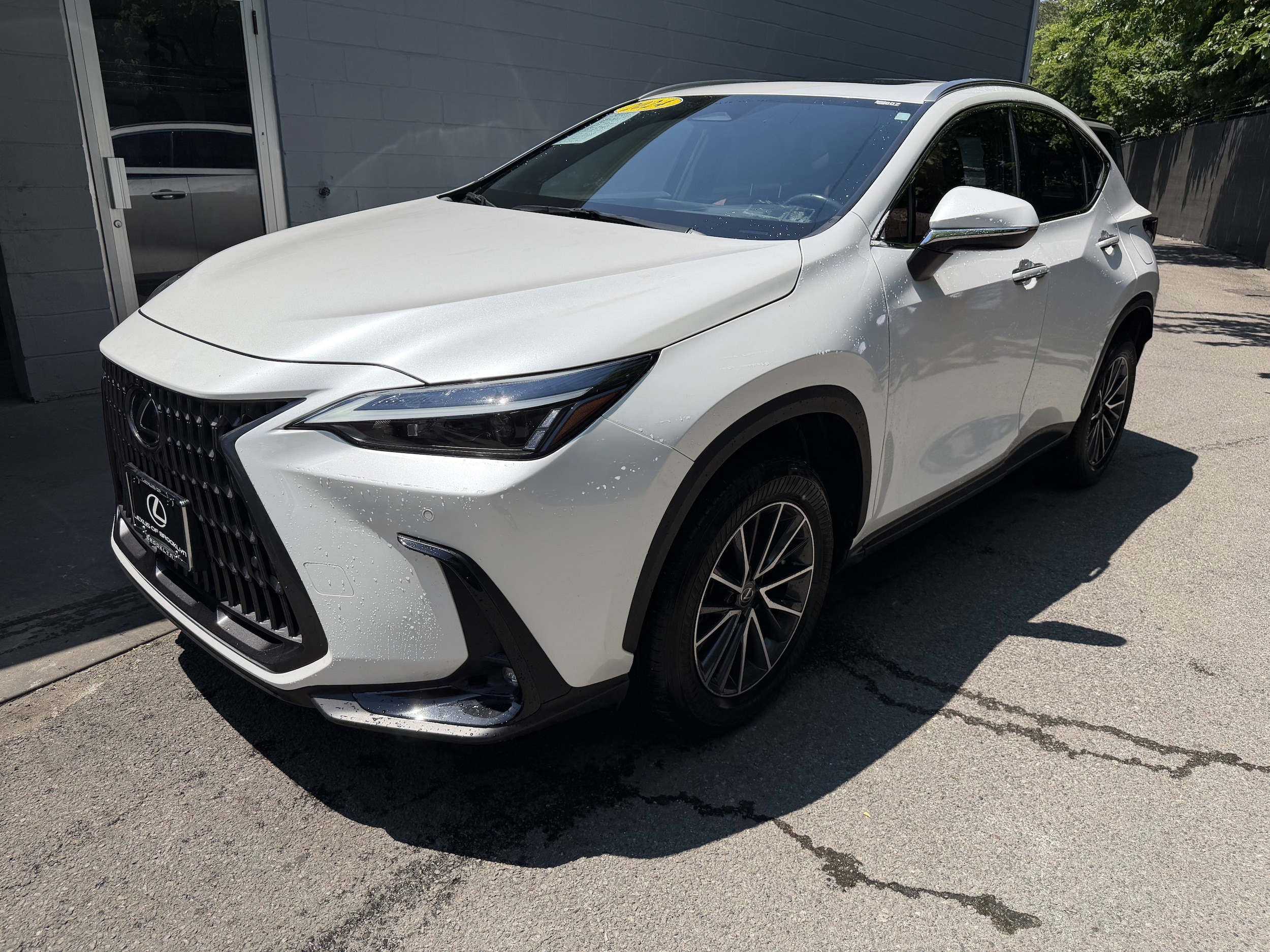 2024 Lexus NX 350h 350h Premium AWD's photo