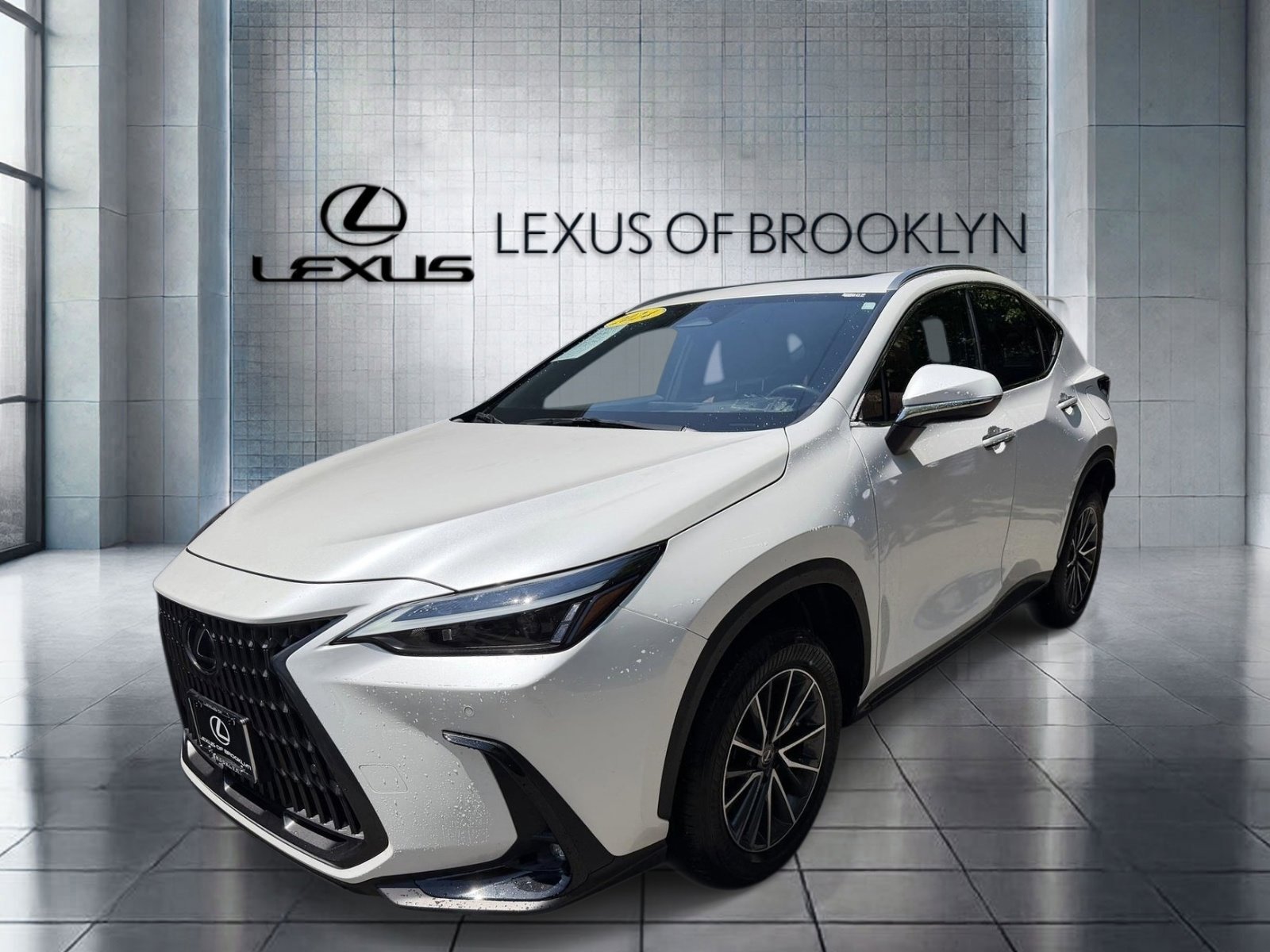 2024 Lexus NX 350h 350h Premium AWD's photo