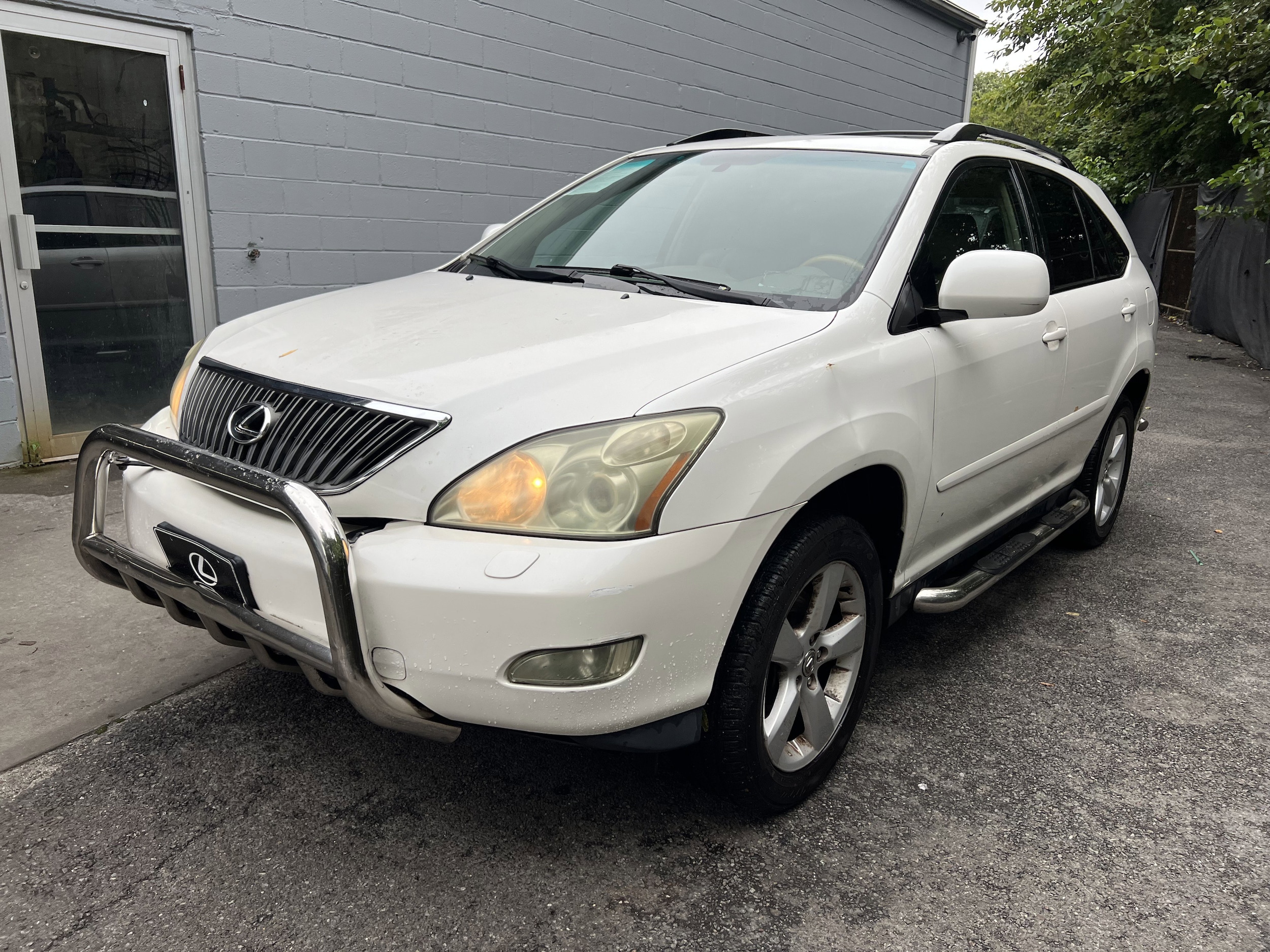 2007 Lexus RX