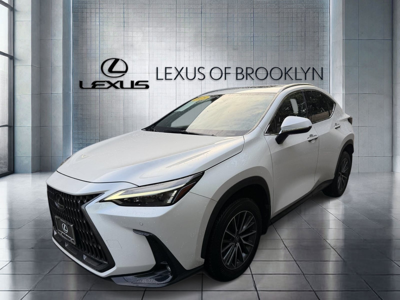 2025 Lexus NX