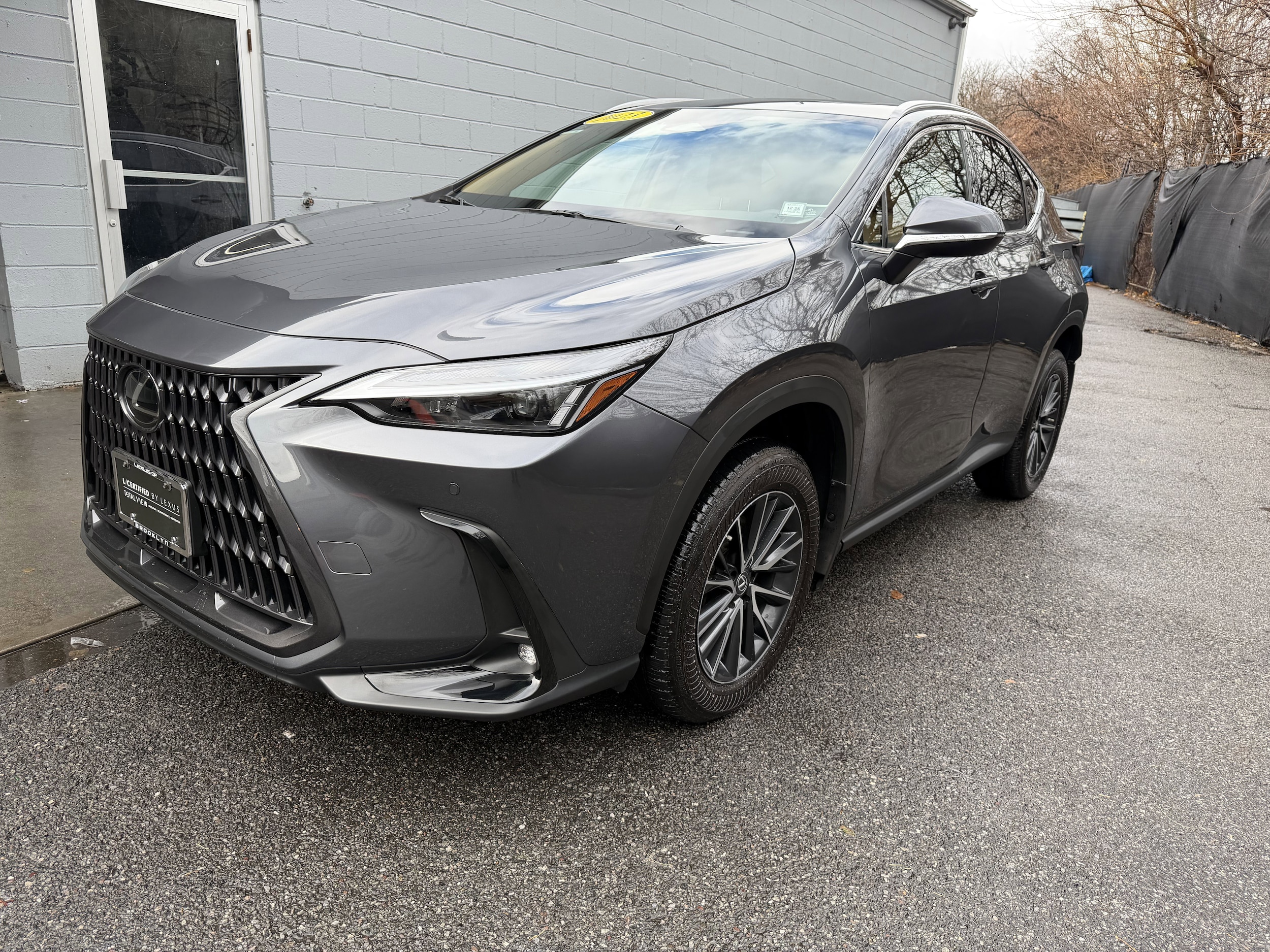 2023 Lexus NX 350's photo