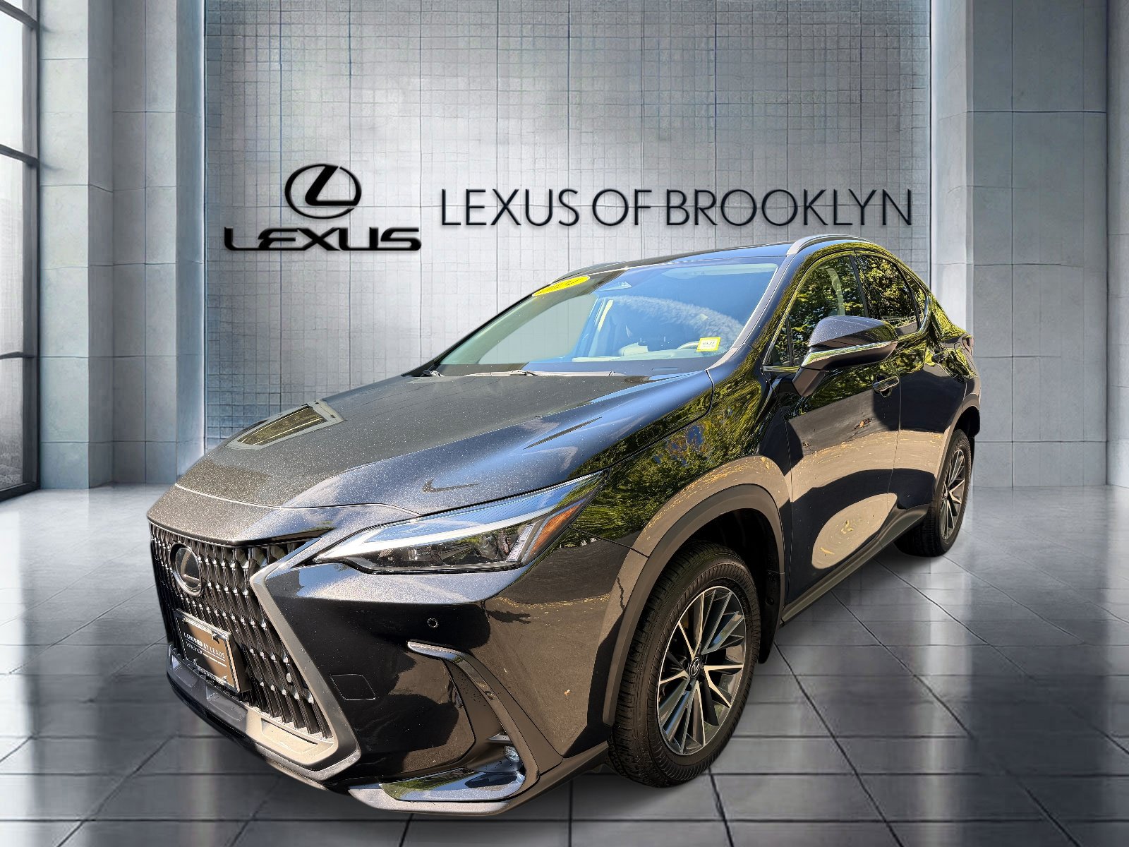 2024 Lexus NX
