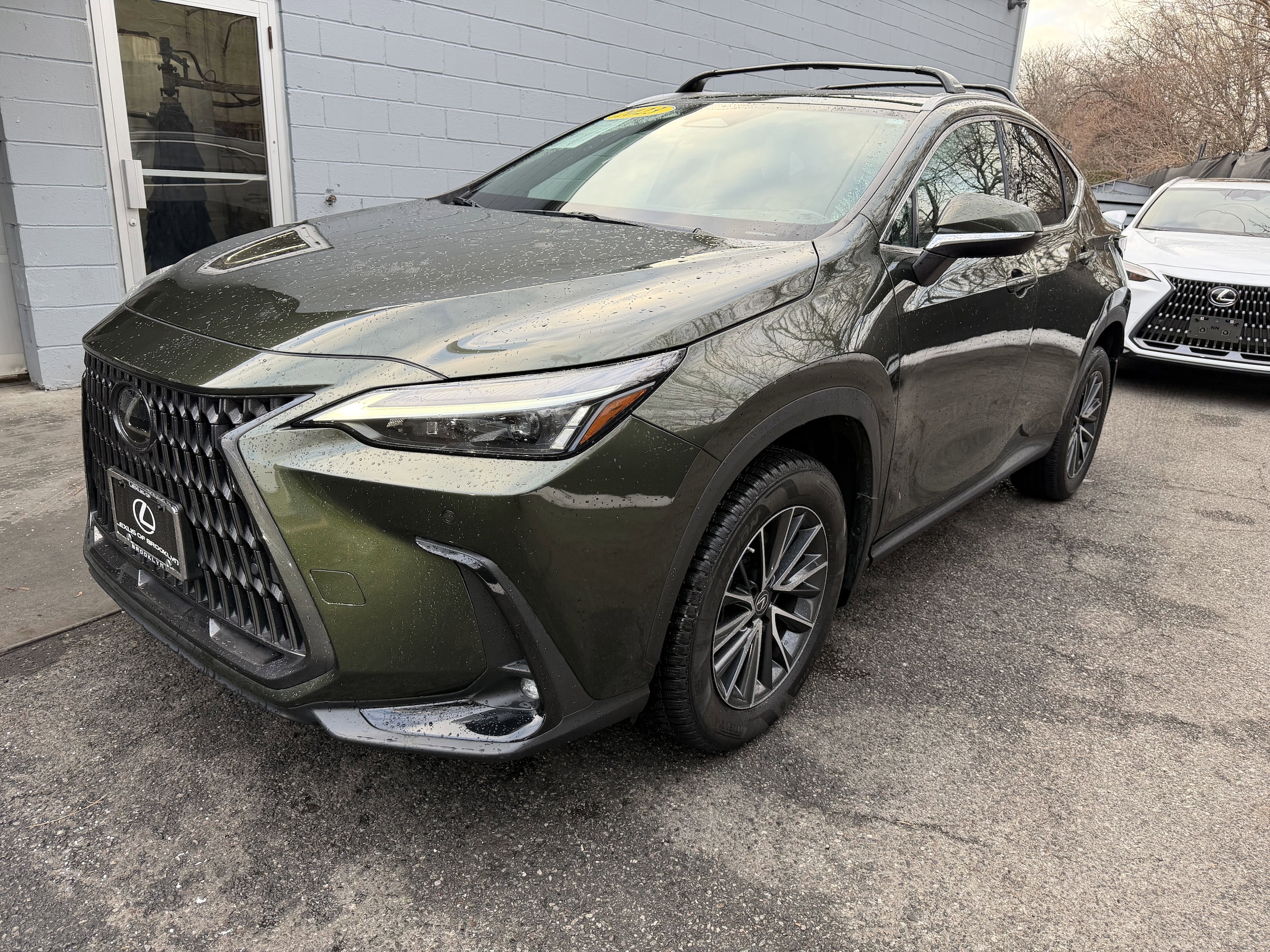 2023 Lexus NX Base's photo