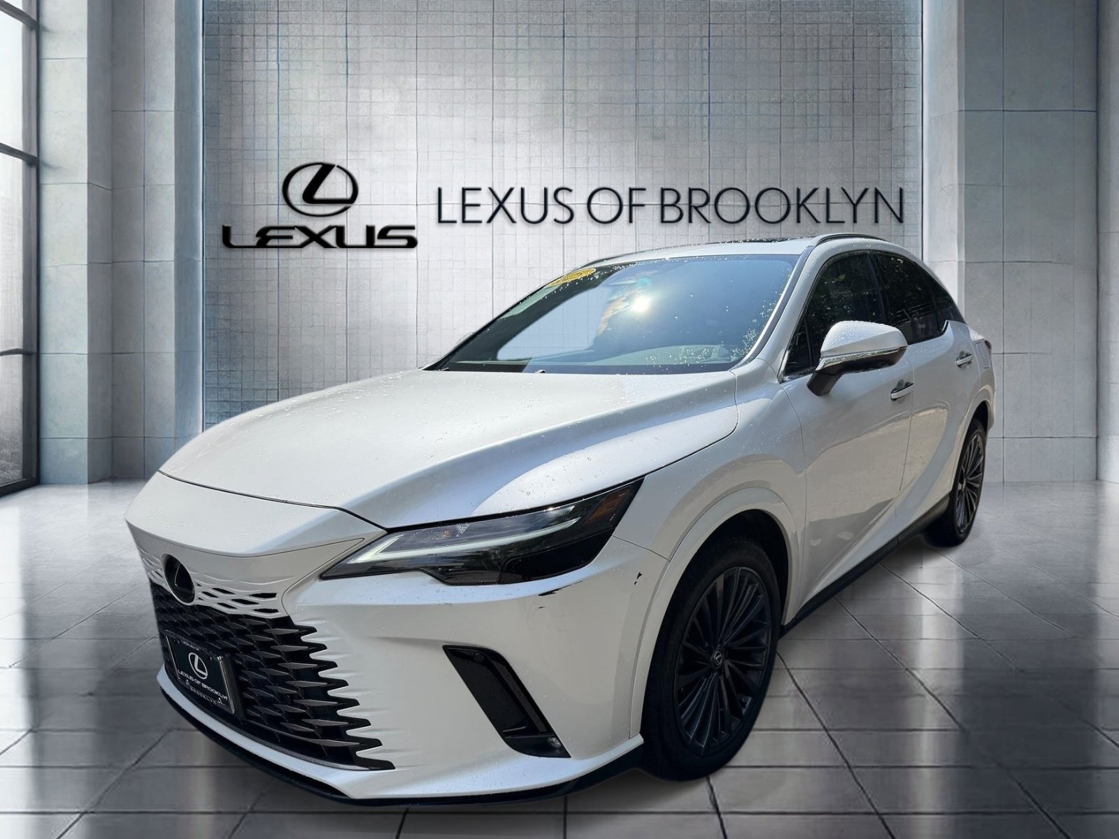 2025 Lexus RX 350h 350h AWD's photo