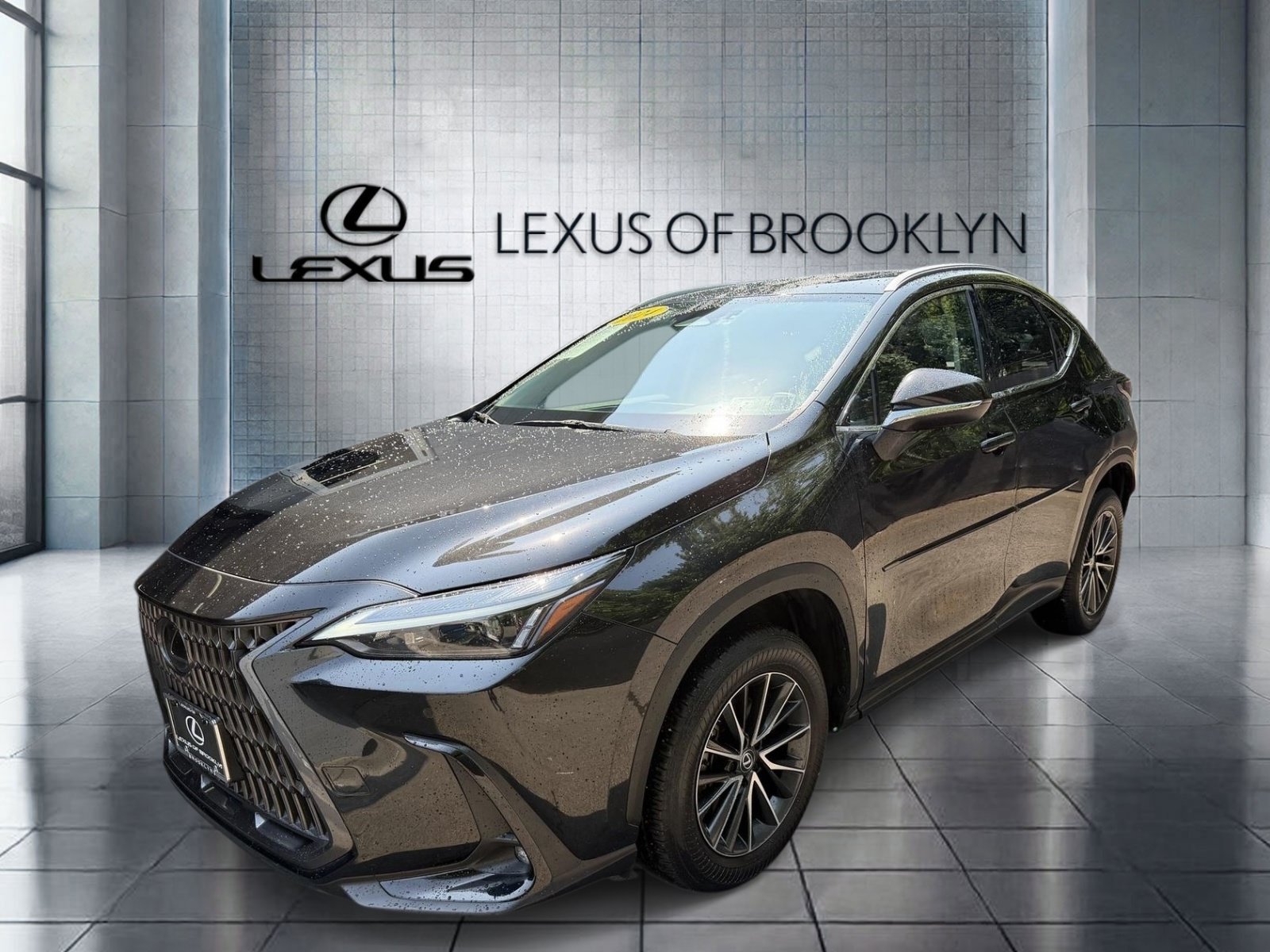 Used 2024 LEXUS NX For Sale at Lexus of Brooklyn | VIN