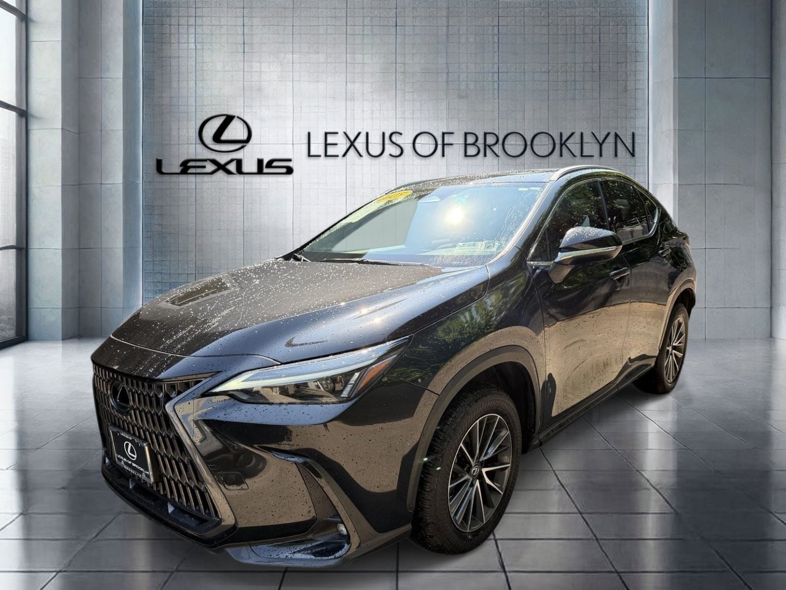 2025 Lexus NX 350 250 Premium AWD's photo
