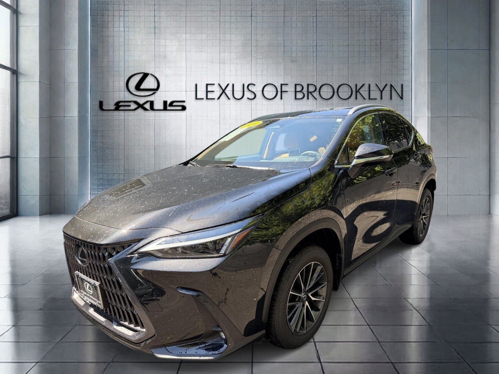 2024 Lexus NX