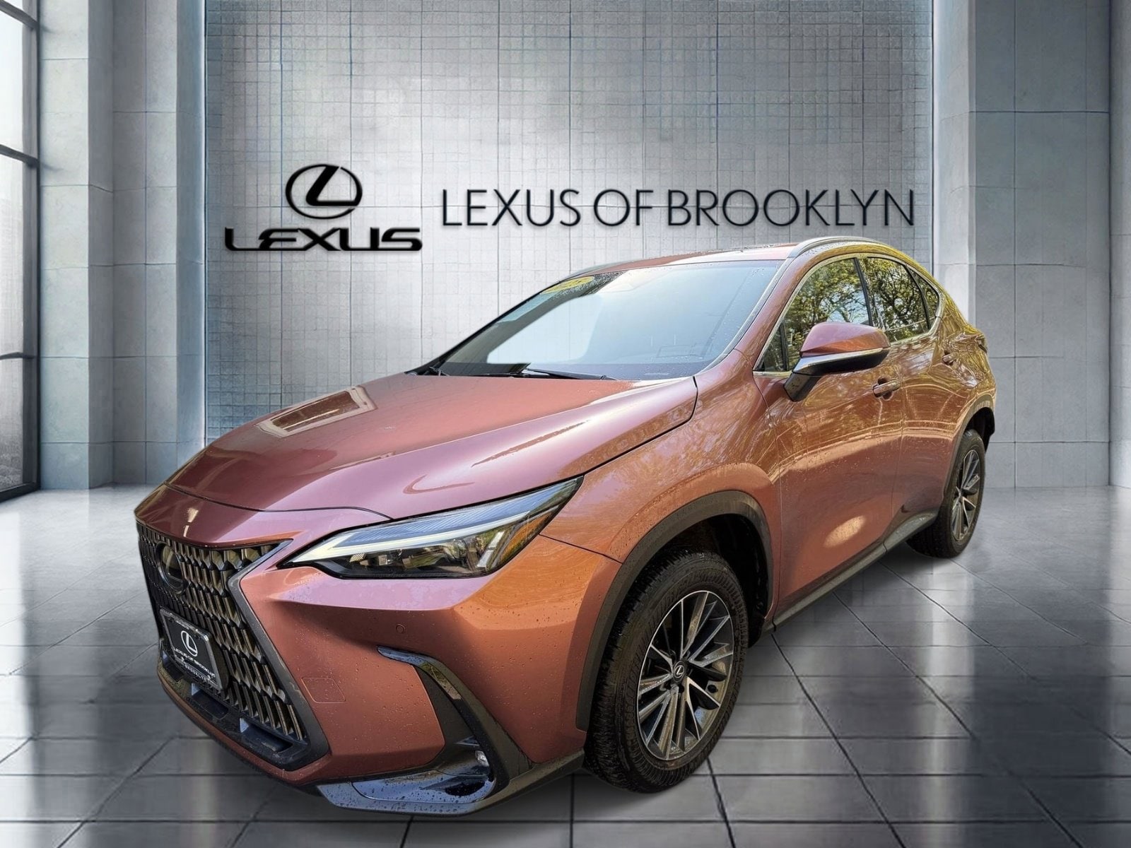 2025 Lexus NX