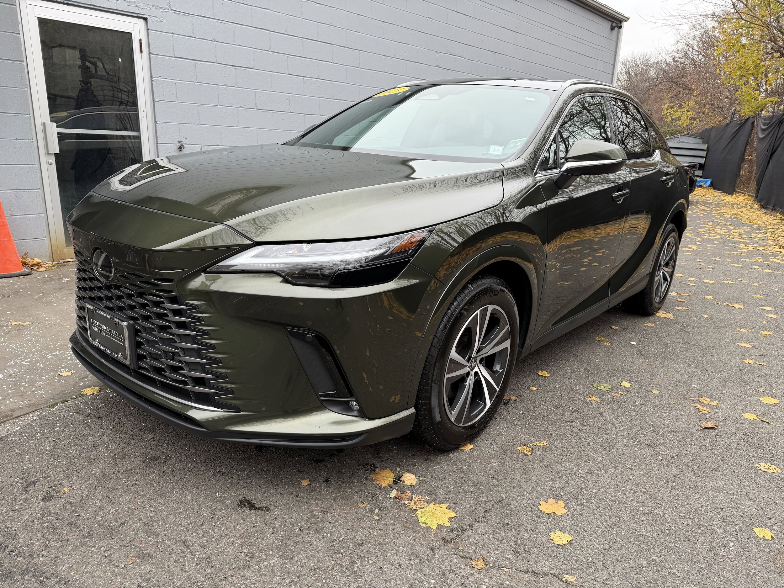 2023 Lexus RX 350's photo