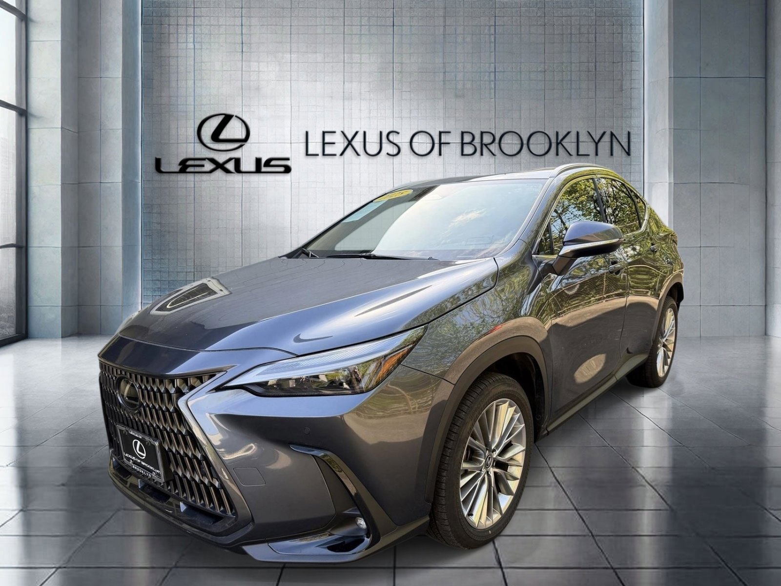 2025 Lexus NX