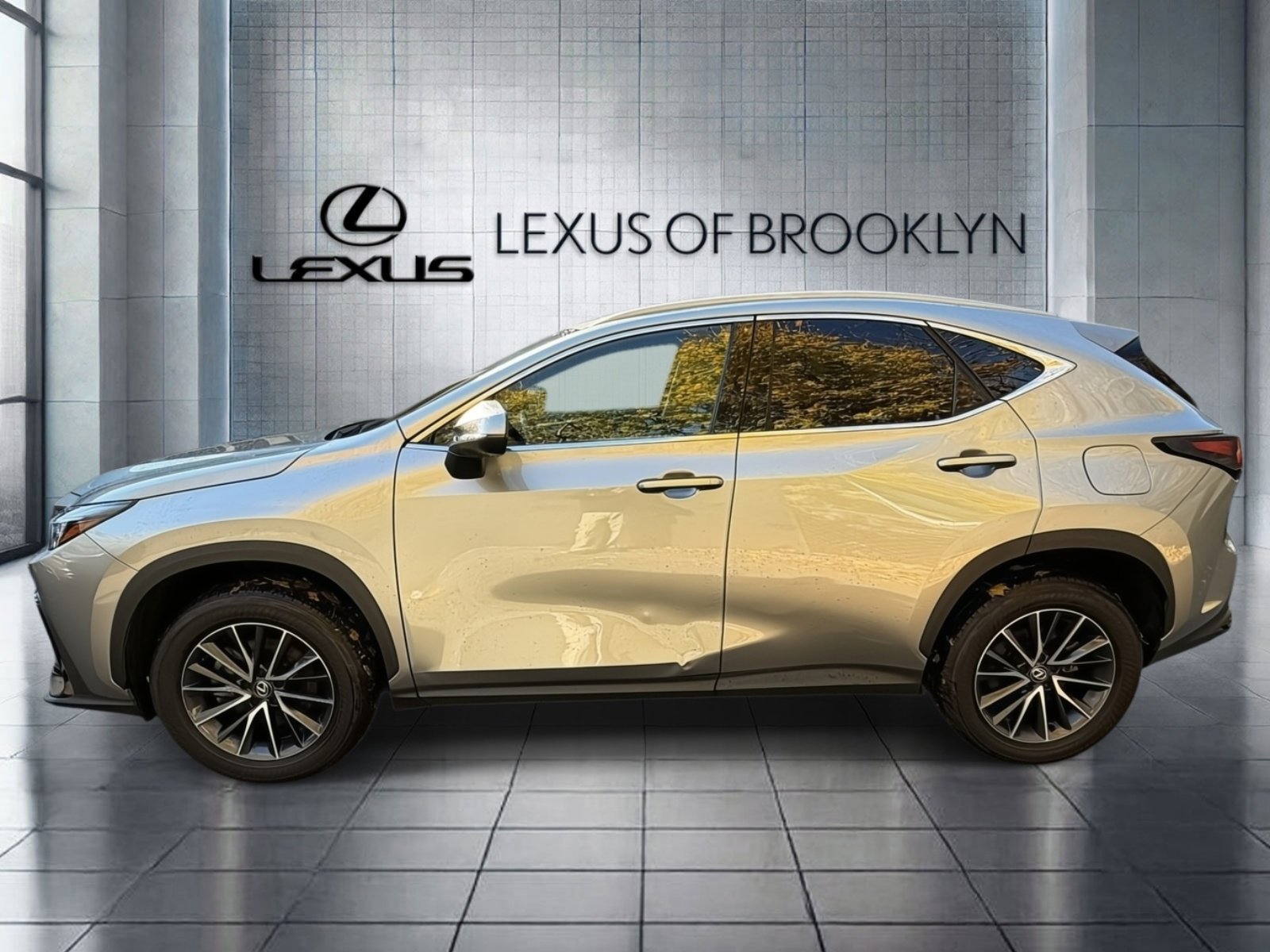 2024 Lexus NX 350h Premium photo 2