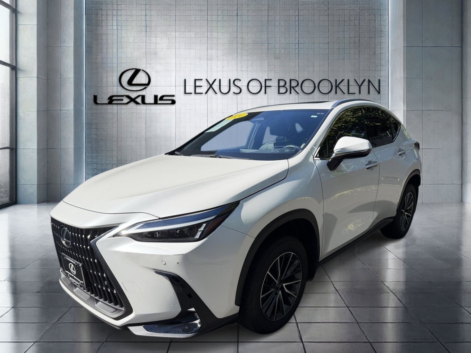 2024 Lexus NX