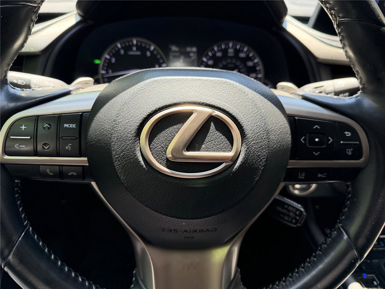 2021 Lexus RX 350 - Photo 7
