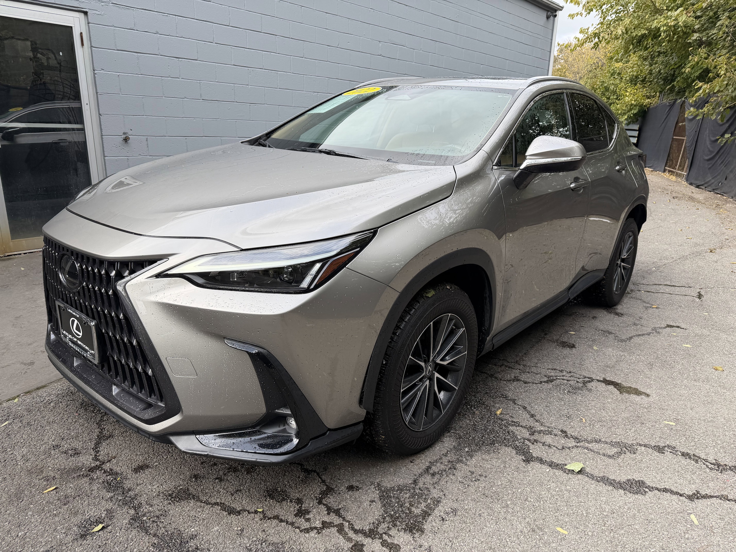 2022 Lexus NX 350
