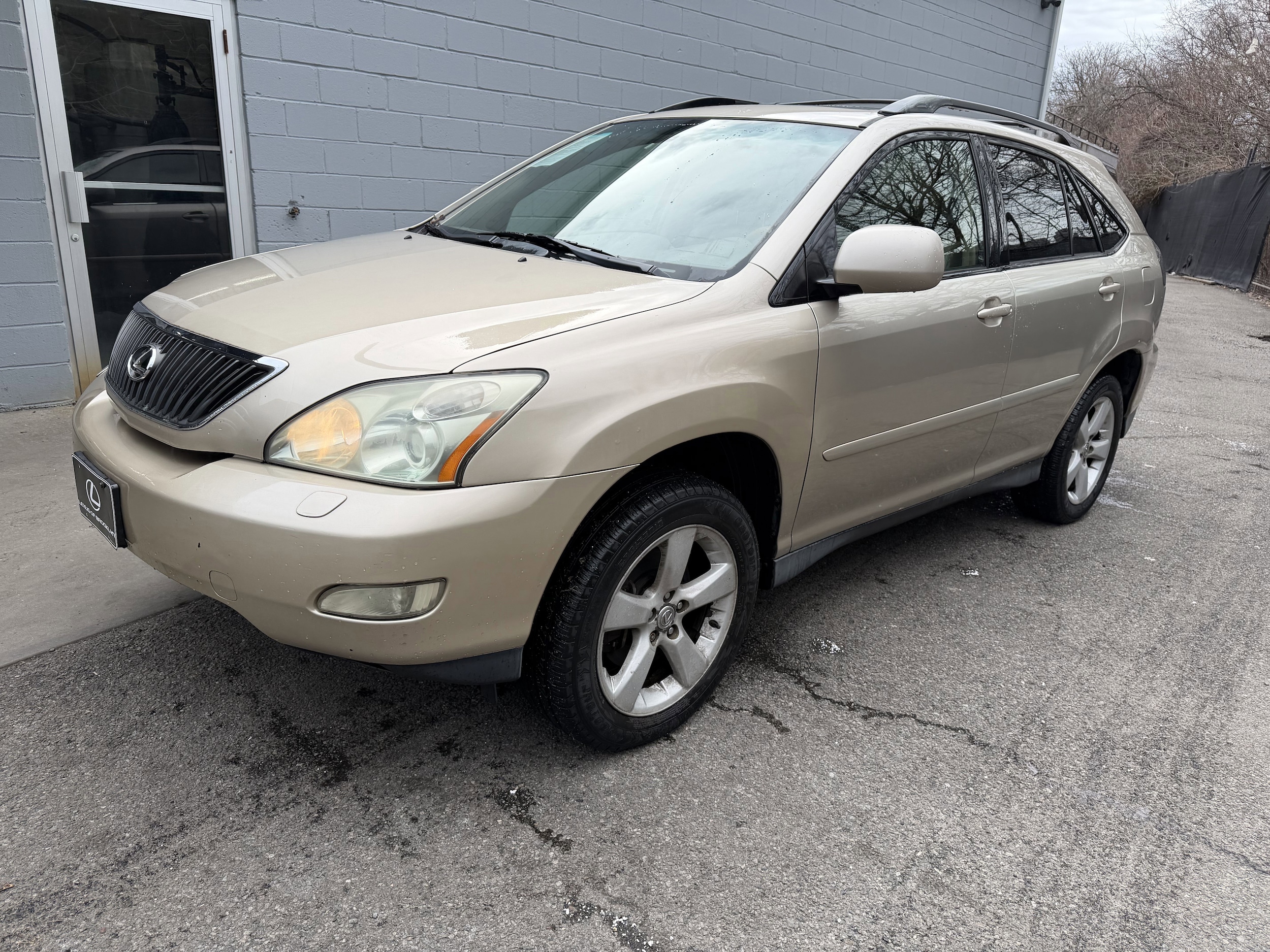 2004 Lexus RX 330