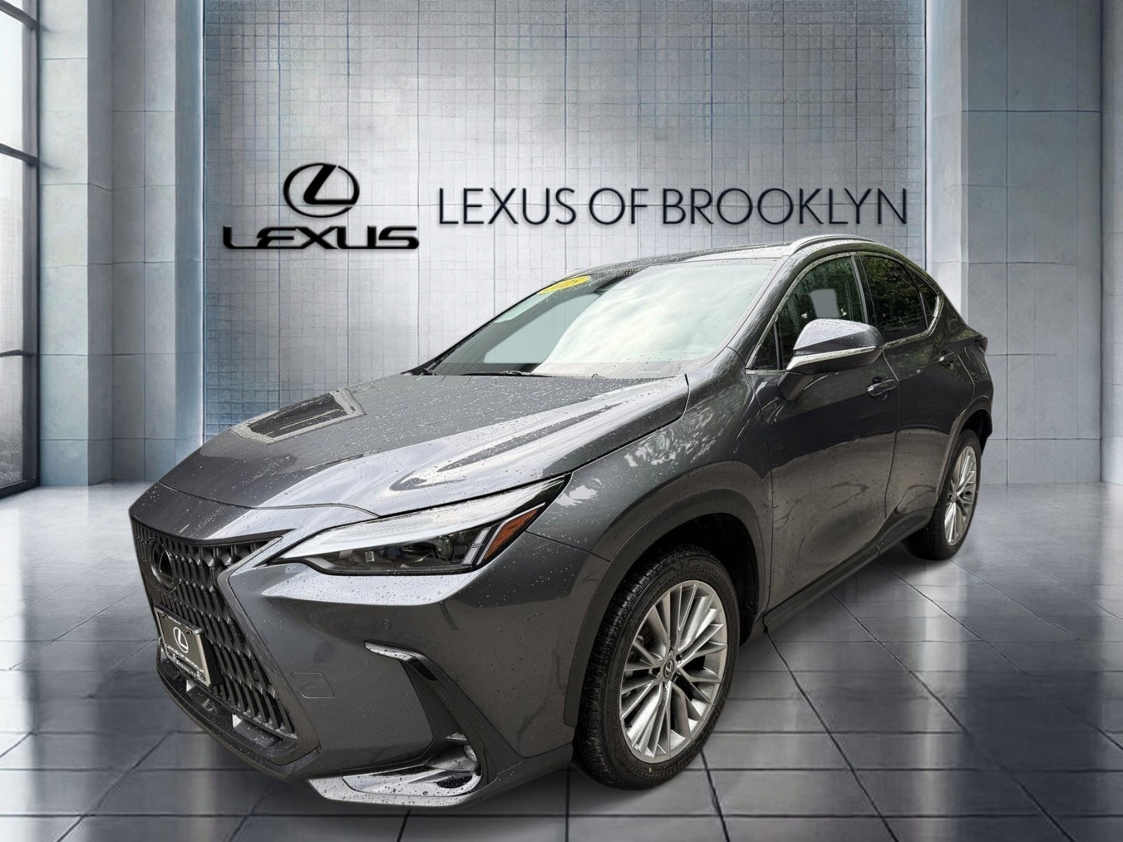 2025 Lexus NX 350h 350h Premium AWD's photo