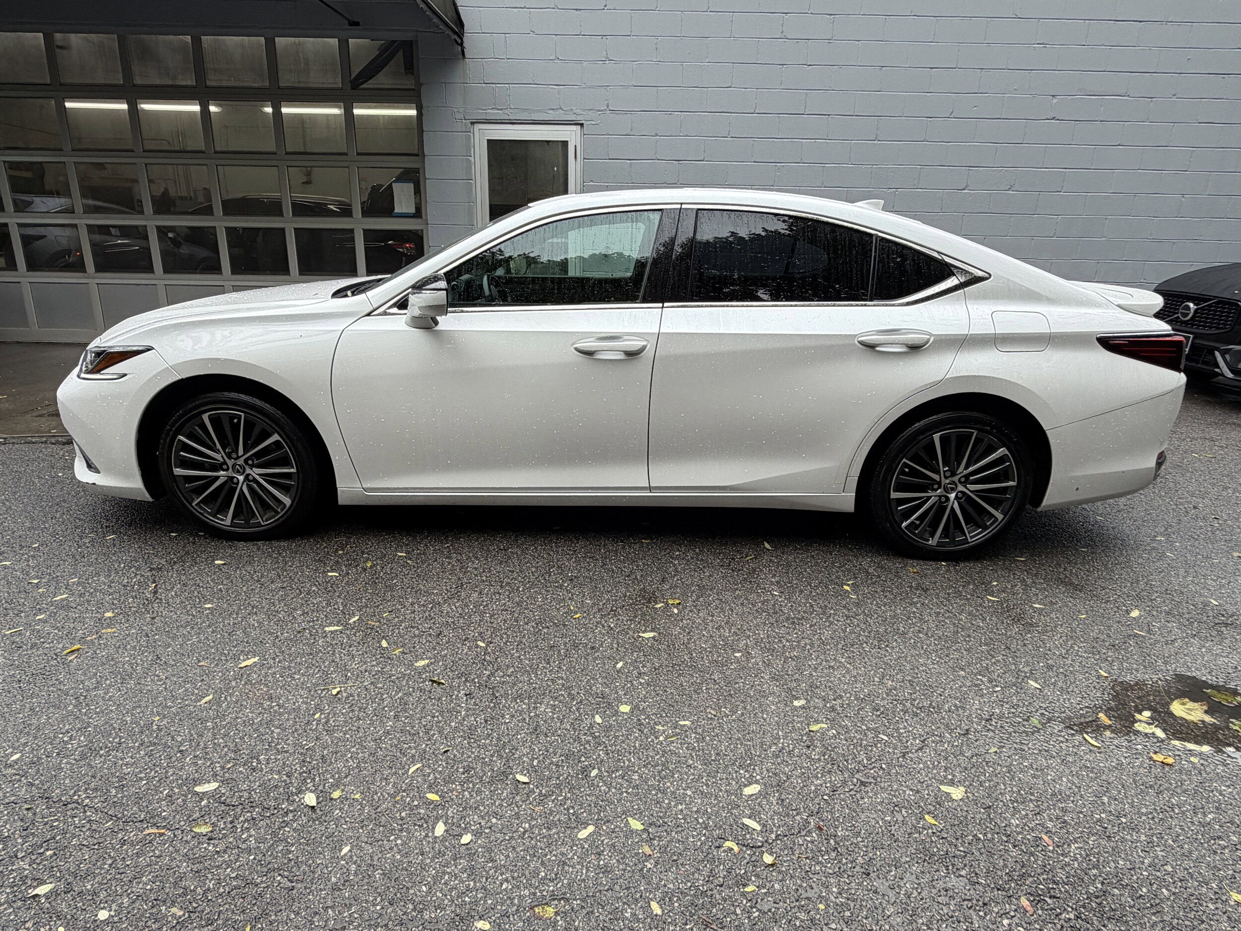 2024 Lexus ES 250 Premium photo 2