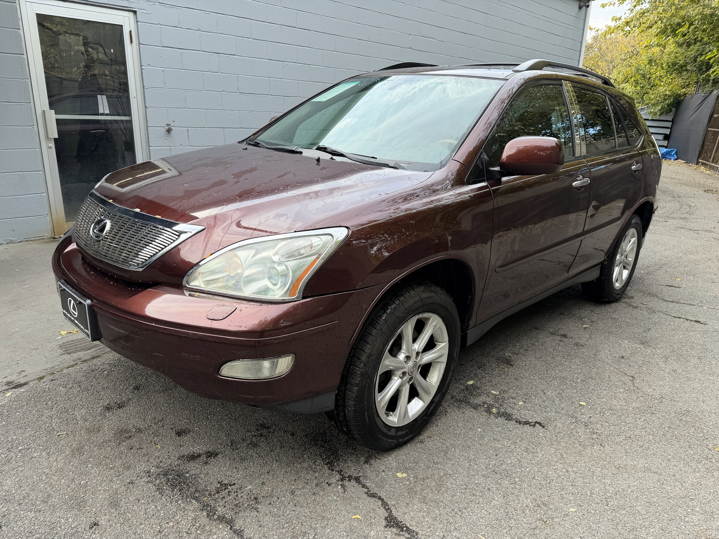 2009 Lexus RX 350