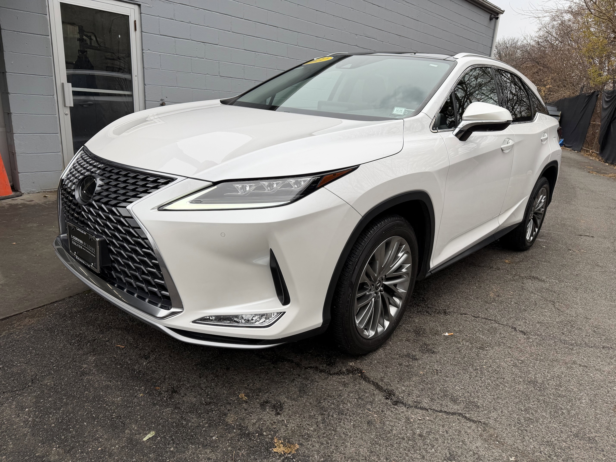2022 Lexus RX 350's photo