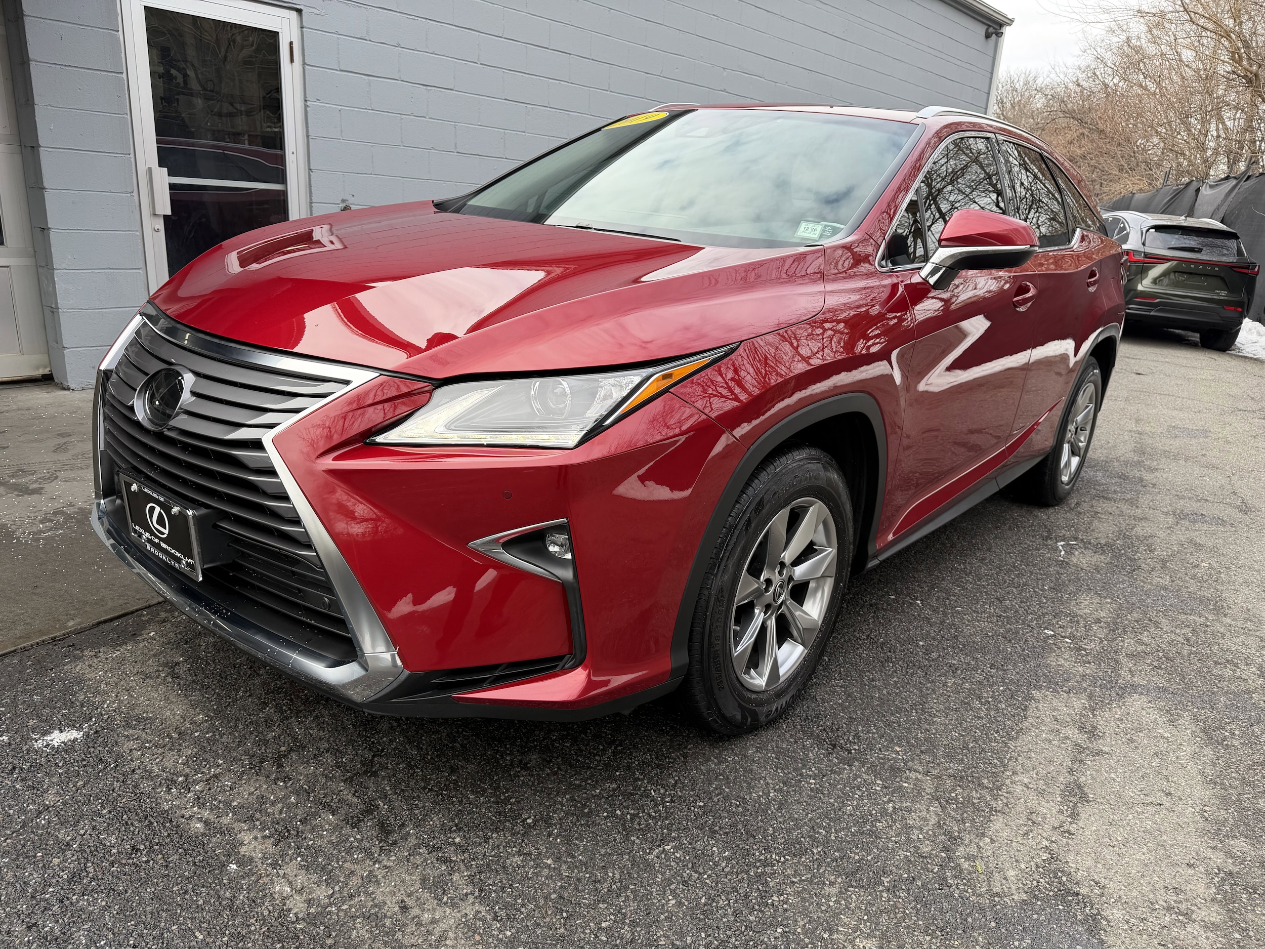 2019 Lexus RX LUXURY's photo