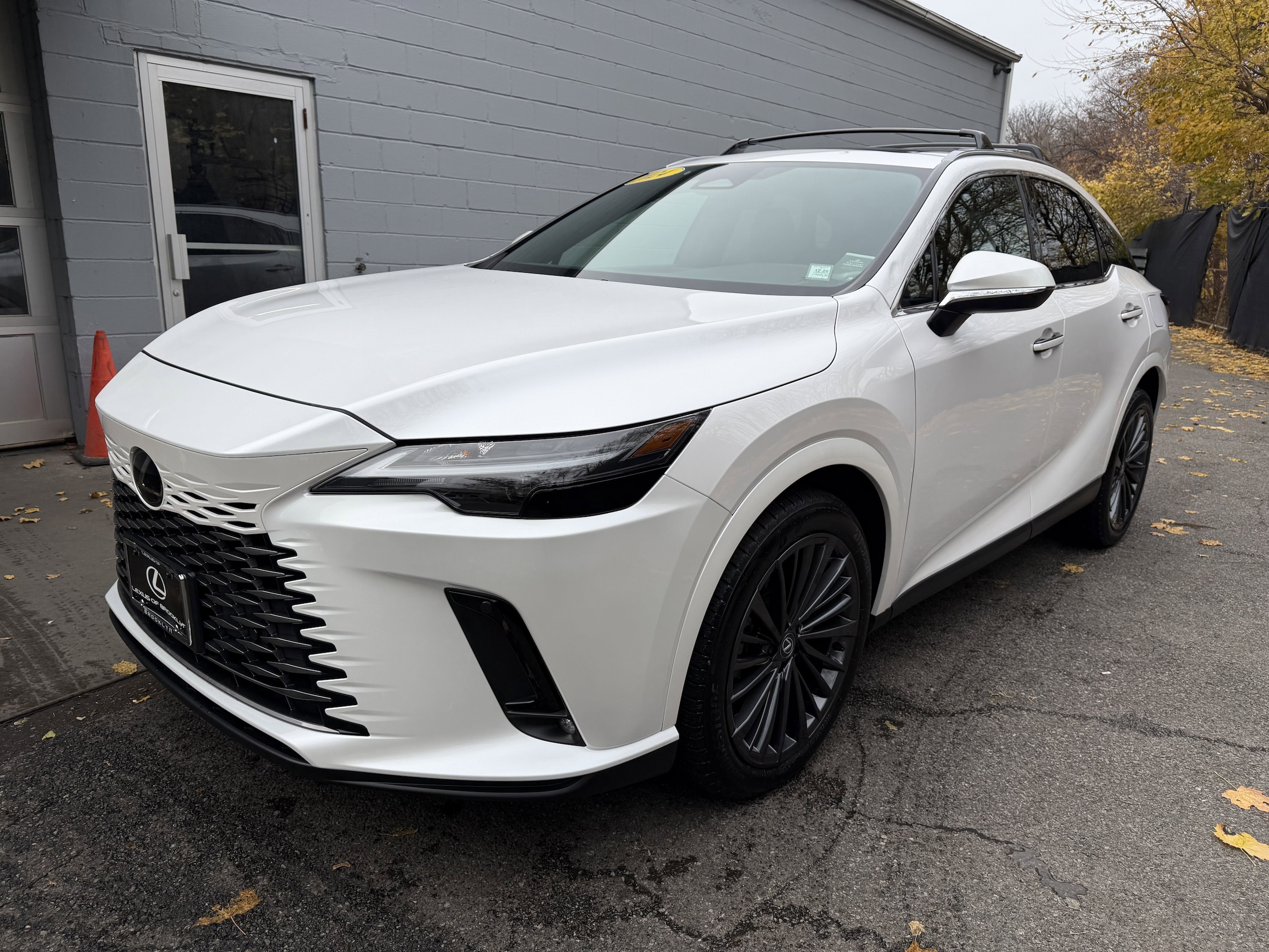 2024 Lexus RX 350's photo