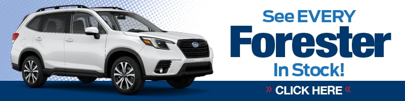 BRS-002 800x200 Desktop Banners 2024 FORESTER.png