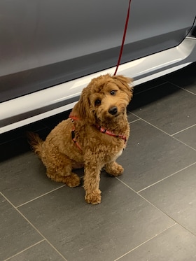 Staff member MILO from 6f374a9c648d