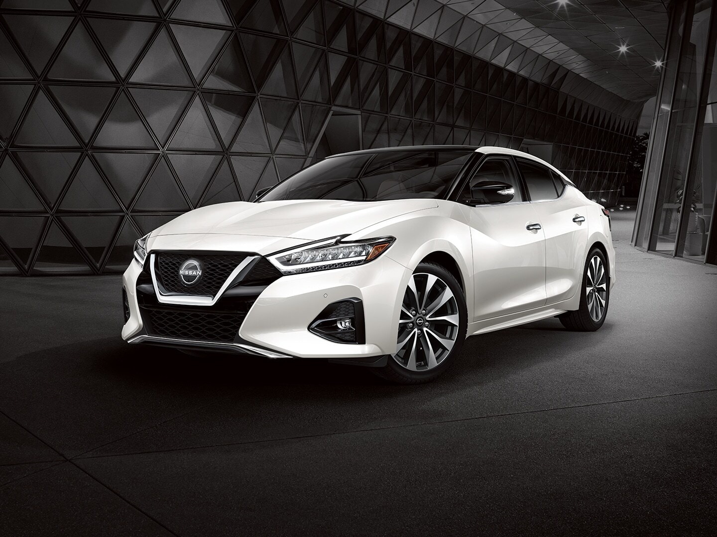 Which Nissan Sedan Model is Right for You?  Nissan of Bayshore