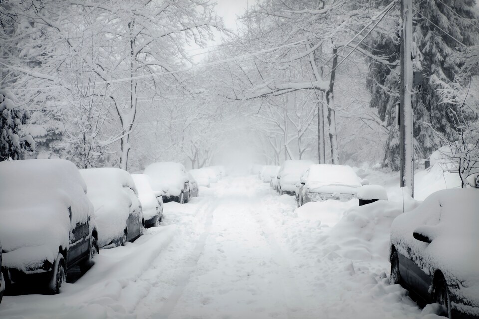 Snow.jpeg