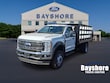 Ford Super Duty F-450 DRW