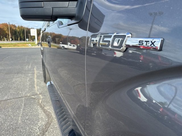 2014 Ford F-150 photo 2